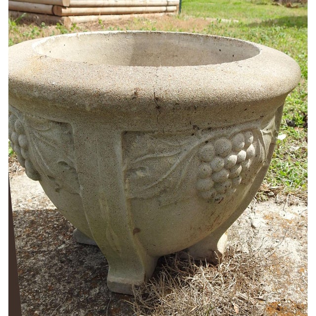 Vintage Concrete Planter Grape Vine Design Chairish