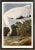 Hooping Crane Print in Black Veneer With Silver Edge Moulding, After Audubon For Sale