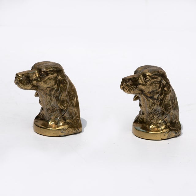 Figurative Pair of Brass Spaniel-Head Bookends Mid-20th Century For Sale - Image 3 of 8