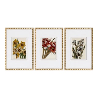 Set of 3 Lauren Galleries Framed Hand-Embellished Botanical Floral Prints For Sale
