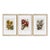 Set of 3 Lauren Galleries Framed Hand-Embellished Botanical Floral Prints For Sale