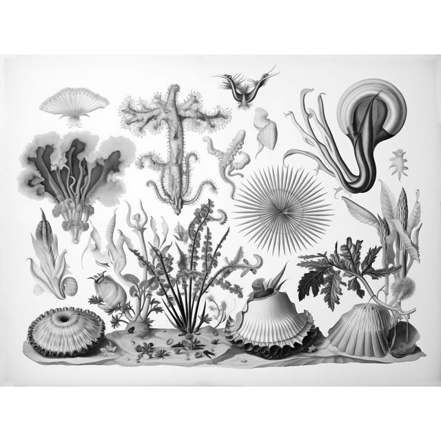 Original Black and White Seascape Fine Art Print by Diane Grant Studio. From a series of prints, see my other listings....