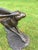 Large Cast Bronze Running Hare Garden Sculpture For Sale - Image 11 of 12
