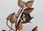 Brass Late 20th Century Hans Kögl Style Gilded Flowers Stems Leaves Wall Mount Candle Holders Sconces - a Pair For Sale - Image 8 of 18