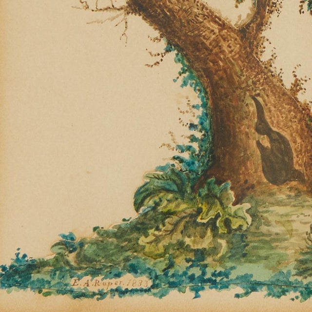 Mid 19th Century Framed Antique Watercolor of a Parrot For Sale - Image 5 of 7