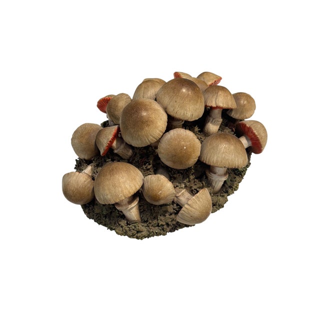 Vintage Italian Tromp l'Oeil Hand-Painted Woven Ceramic Basket of Mushrooms For Sale - Image 11 of 17