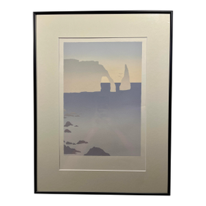 Original "Enool" Specimen/Sample Serigraph by French Artist Michel Dumontet