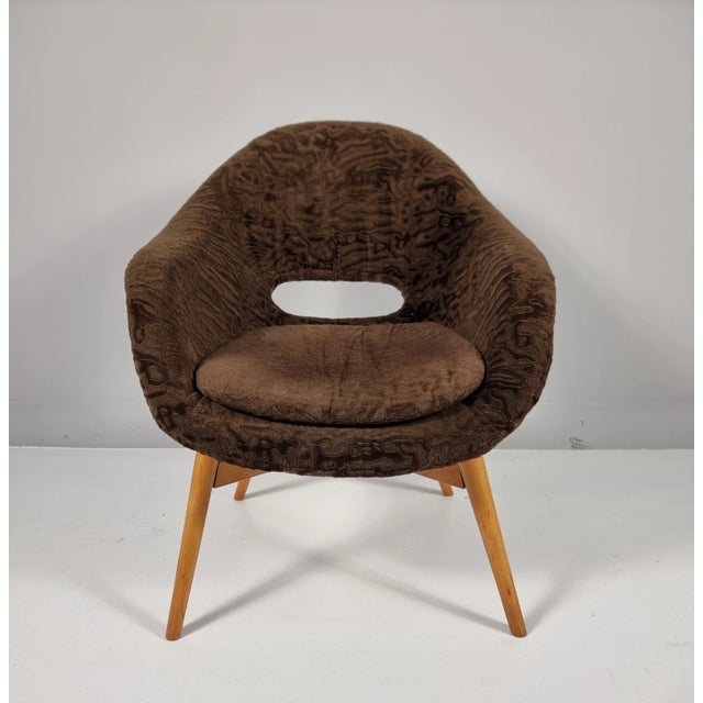 Shell Armchair by Miroslav Navratil, 1960s For Sale - Image 6 of 6