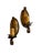 Metal Circa 1920’s Pair of Polychrome Painted Botanical Wall Sconces For Sale - Image 7 of 8