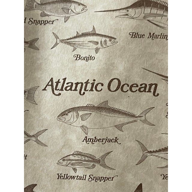 Original mid century poster of Gamefish of Florida Salt water Fish and Fresh Water fish.