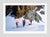 Mountainside Rest by Toni Frissell A group of skiers ponder their journey on the infamous “Haute Route”, Switzerland,...