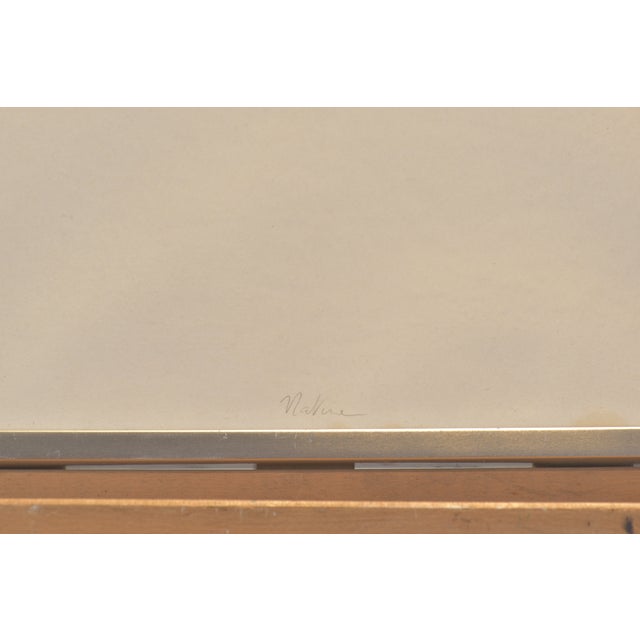 Nature, Signed Torquin '74, 12/25, Silkscreen Print, Framed Under Glass For Sale - Image 4 of 8