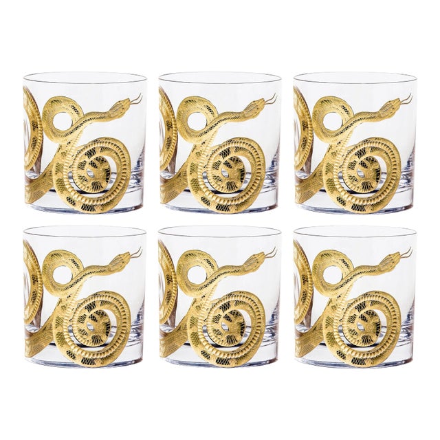 of Curiosities Double Old Fashioned Glasses, Set of 6 Snake