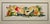 Vintage Exotic Fruits Still Life Serigraph Limited Edition 2/50 Custom Framed Aprox. dimensions: Frame: 14.5"H x 25.5"W...