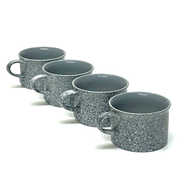 Gray mottled cup set, group of 4. A gorgeous minimal set of cups by Mikasa, made in Japan. These ceramic cups are in a...