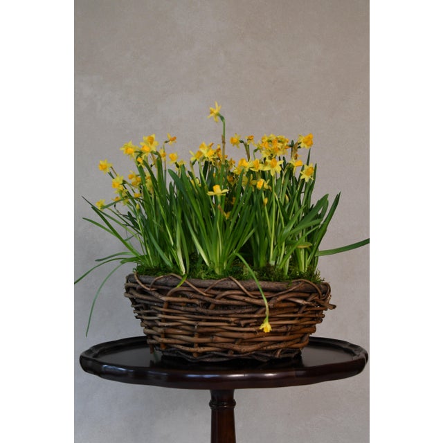 Rustic Vintage Handwoven Grapevine Bowl For Sale - Image 3 of 3