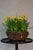 Rustic Vintage Handwoven Grapevine Bowl For Sale - Image 3 of 3