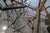 1980s Glass Top Dining Table with One of a Kind Steel Rebar Base For Sale - Image 16 of 17