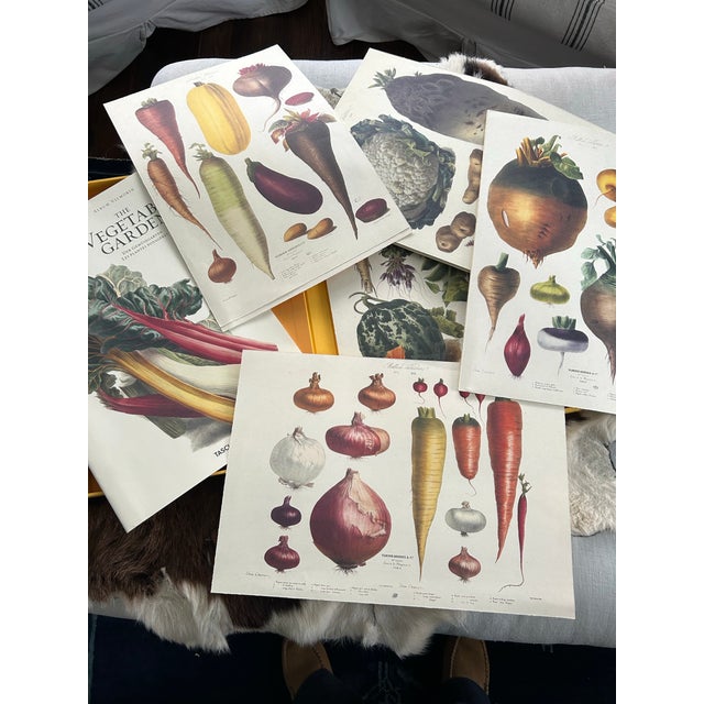 Illustration Taschen ‘The Vegetable Garden’ For Sale - Image 3 of 10