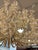 2020s Palacek Seychelles Coco Chandelier in Cream For Sale - Image 5 of 11