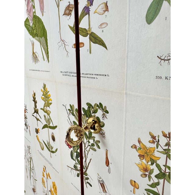Antique White 1940's Swedish Cabinet With Nordens Flora Illustrations For Sale - Image 8 of 12