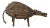 Armadillo Vintage Hand Made For Sale