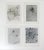 Vintage 1948 Microscopic Photographs - Set of 4 For Sale - Image 4 of 4