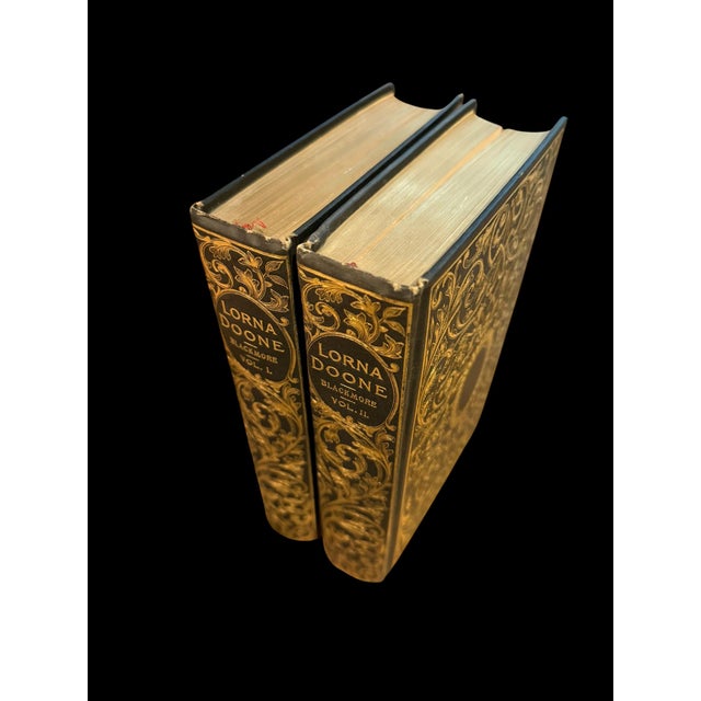 Antique 1890s Lorna Doone 2-Volume Gilt Set With Original Dust Jackets - Pair For Sale - Image 12 of 16