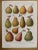 1920s Chart with Fruit by Maurice Dessertenne For Sale - Image 5 of 5