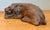 Coffee Vintage Hand Carved Lion For Sale - Image 8 of 12