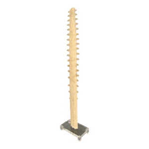 Vintage Sawfish Rostrum Sculpture on Lucite Base