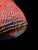 Late Qing Dynasty Hand Painted/Woven Chinese Fishers Basket For Sale - Image 16 of 18