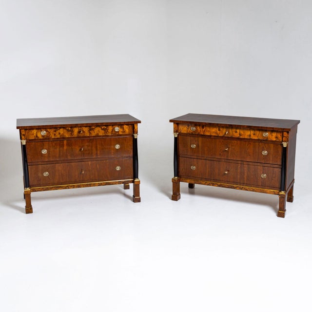 Italian Biedermeier Chests of Drawers, Early 19th Century, Set of 2 For Sale - Image 15 of 15