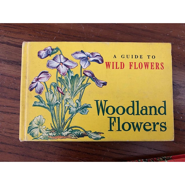 This is a charming set of vintage nature guide books to trees and woodland wild flowers. The small books beautifully...