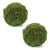 Add a natural touch to your space with this set of two Faux Moss Orbs. Featuring lifelike green faux moss foliage in an...