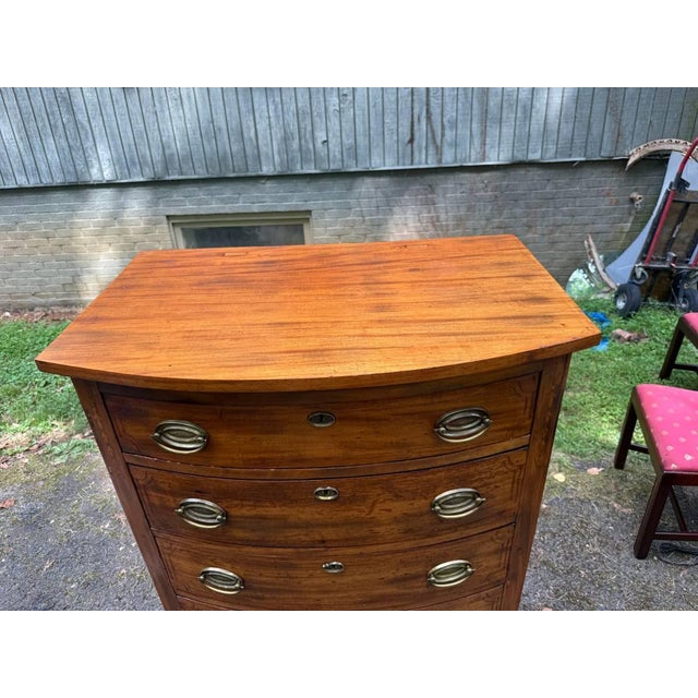 Early 20th Century Regency Style Tall Boy Bow Front Chest of Drawers For Sale - Image 9 of 14