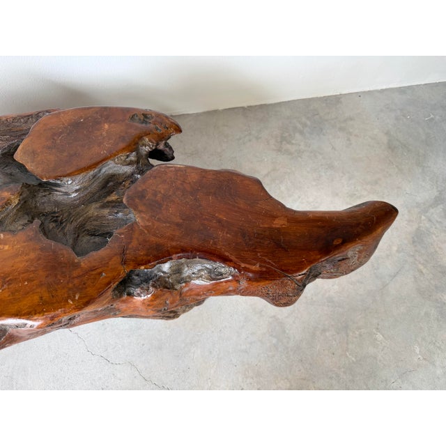 Wood 1960’s Mid-Century Hand-Carved Live Edge Redwood Burl Root Coffee Table For Sale - Image 7 of 12