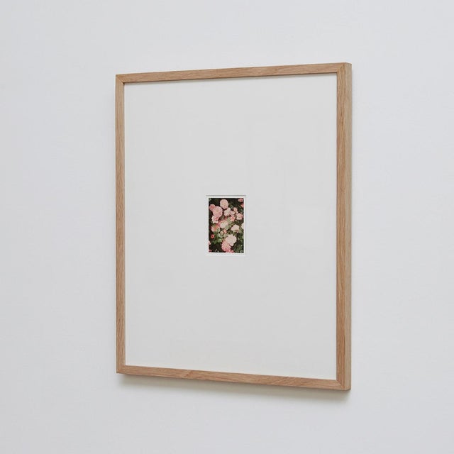 Pink The Rose Garden Nº 34 Print by David Urbano, 2018 For Sale - Image 8 of 9