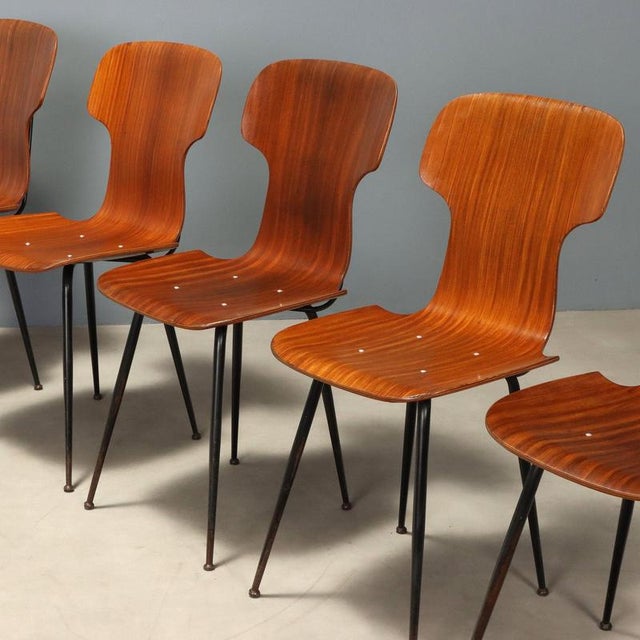 Vintage Bent Plywood Chairs, 1960s, Set of 6 For Sale - Image 3 of 9