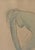 Auguste Rodin, Young Nude Model Stretching, Signed Engraving For Sale - Image 4 of 5