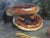 *** ABOUT THIS PAINTING *** * TITLE: "Still life with bagels" * ARTISTS: Khorov Alexander * SIZE: -x- cm/'-x- inches' *...