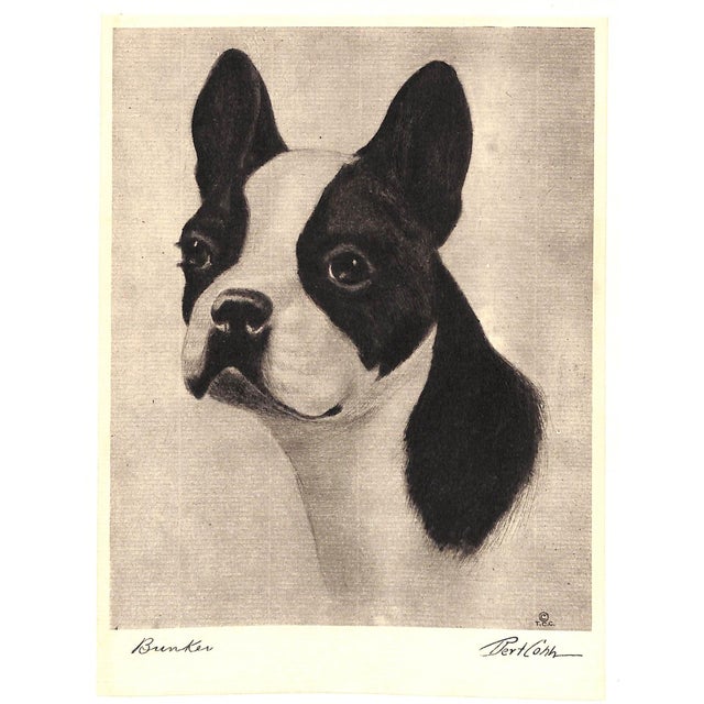 "Portraits of Dogs" 1931 Cobb, Bert For Sale - Image 10 of 12