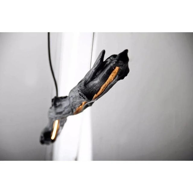 Burning Ego Light Suspension by Wim Verzantvoort For Sale - Image 4 of 13