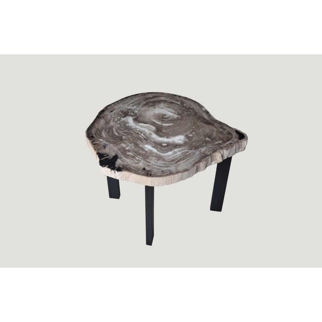 Andrianna Shamaris Petrified Wood Slab Table For Sale - Image 4 of 5