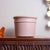 Vintage Gainey Ceramics AZ-10 Azalea planter in a soft mauve/dusty pink finish. Handcrafted in California, the planter...