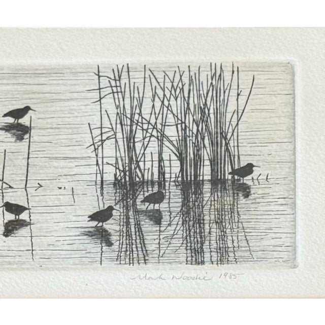 1980s Framed Coastal Shorebirds Etching, Signed and Numbered For Sale - Image 4 of 6