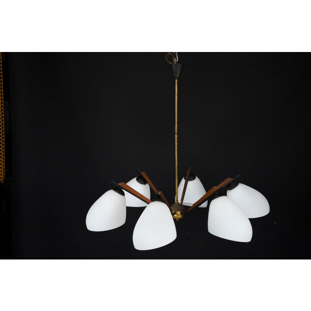 Mid-Century Modern Italian Chandelier in the style of Stilnovo, 1950s For Sale - Image 6 of 18