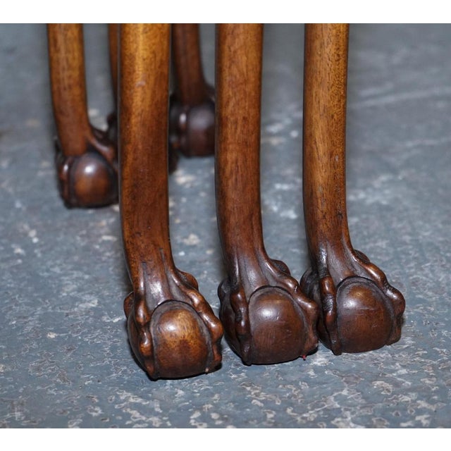 Burr Walnut Nest of Three Tables with Carved Claw & Ball Feet, Set of 3 For Sale - Image 6 of 15