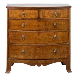 19th Century Mahogany Chest With Lion Head Pulls For Sale