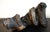 Large Chinese Crouching Beast Gongshi For Sale - Image 14 of 14